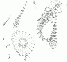 a0029002_17523639.gif