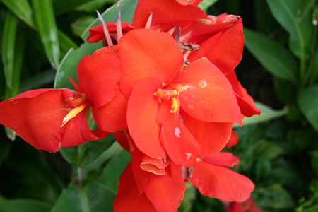 c0011204_2247935.jpg