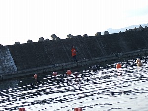 b0110205_21134281.jpg