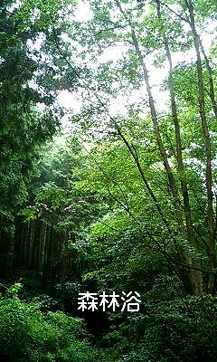d0081210_23512716.jpg