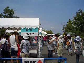 c0030112_1355341.jpg