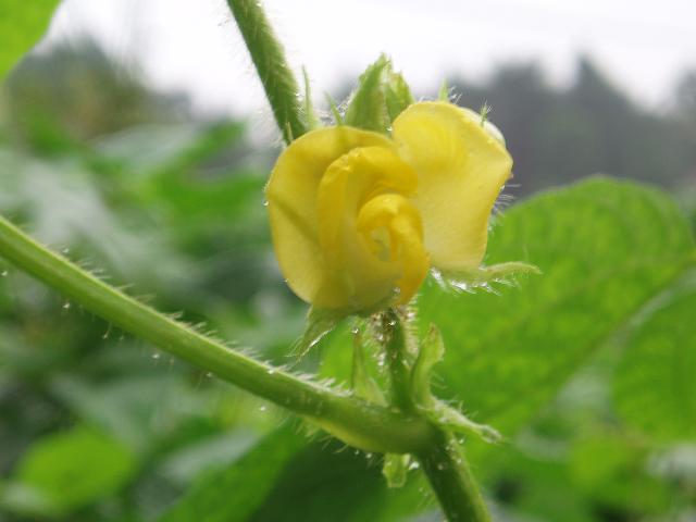 c0086014_761778.jpg