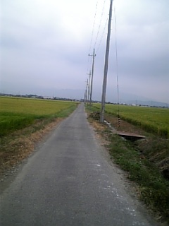 c0066318_2320439.jpg