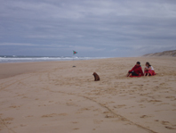 c0086320_2343189.jpg