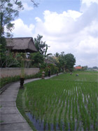 b0034422_23241385.jpg