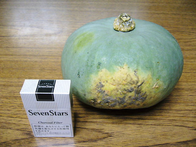 f0079723_23382362.jpg
