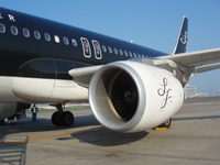 d0041227_059665.jpg