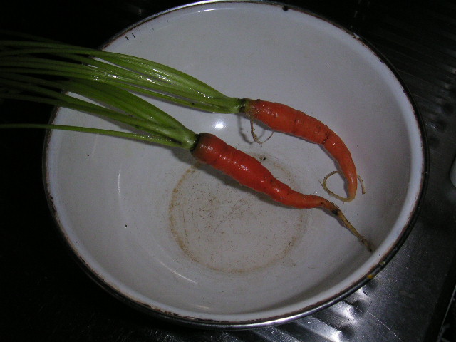 a0020929_16572153.jpg