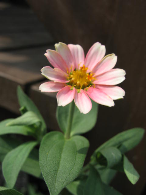 b0088037_19453864.jpg