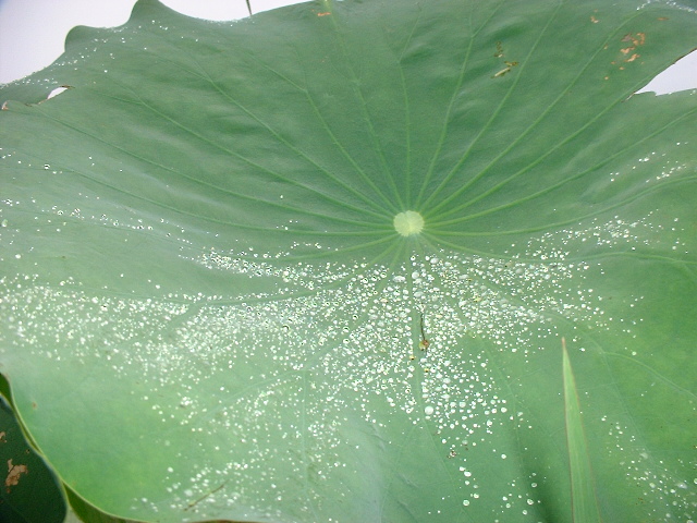 a0074938_18561155.jpg