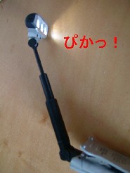 c0078451_2042427.jpg
