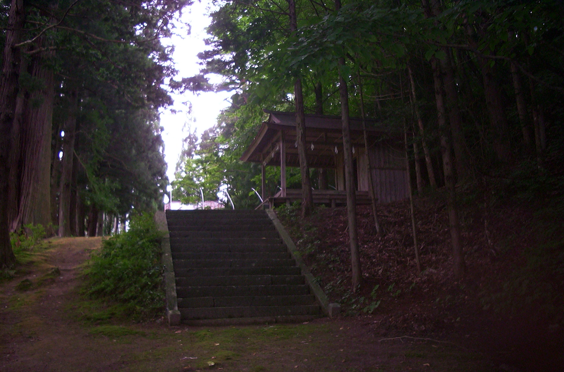 a0029157_15582472.jpg