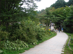 e0001558_12593154.jpg