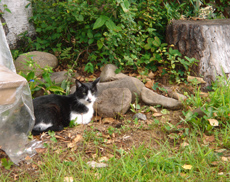 e0001558_1521536.jpg