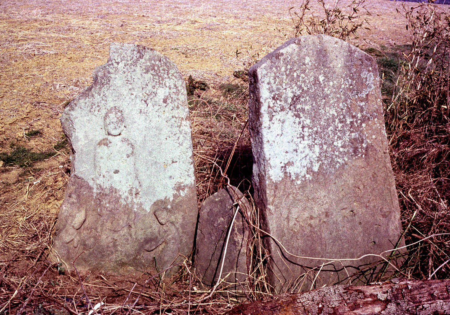 e0018762_2146533.jpg