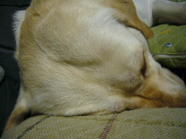 f0057565_1172269.jpg