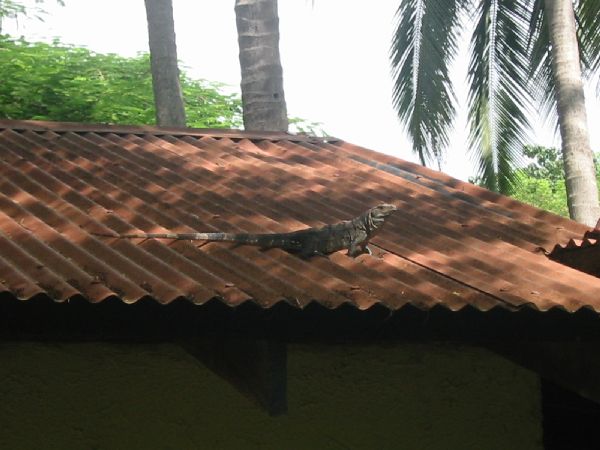d0017567_2331311.jpg