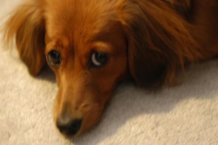 a0047577_851695.jpg
