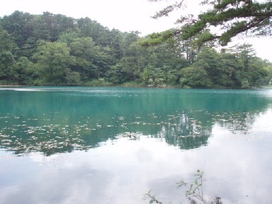 f0085881_9154854.jpg