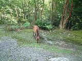 b0092794_05192.jpg