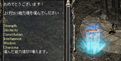 b0052295_7454224.gif