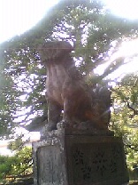 e0087901_19313982.jpg