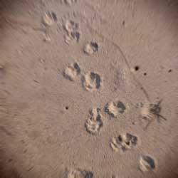 d0077603_9424349.jpg