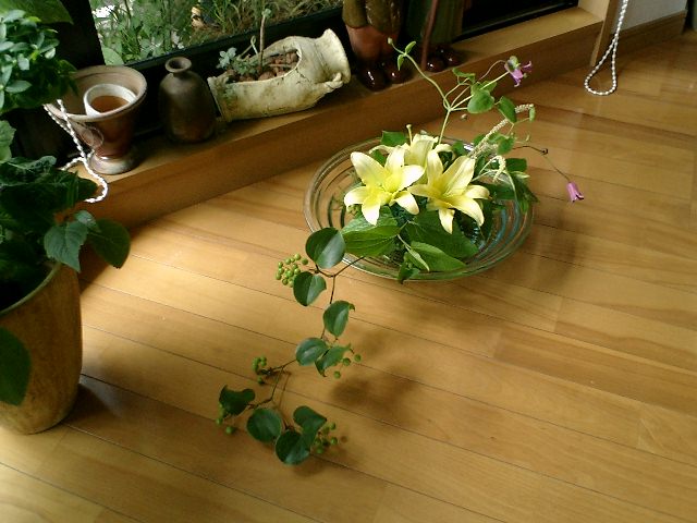 f0084806_73278.jpg
