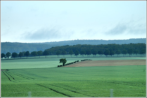 f0080510_7223151.jpg
