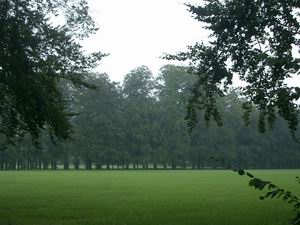 f0014016_6221781.jpg