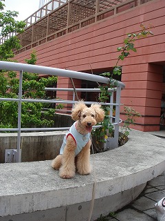 d0023323_015549.jpg