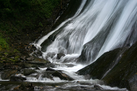 e0001123_0393745.jpg