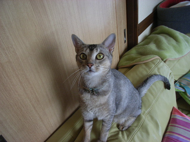 d0081025_18373257.jpg