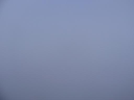 e0036628_533293.jpg