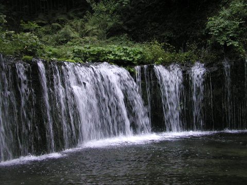 d0046531_2354830.jpg