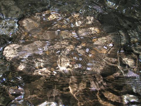 d0046531_2374248.jpg