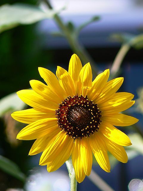 a0034438_1445656.jpg
