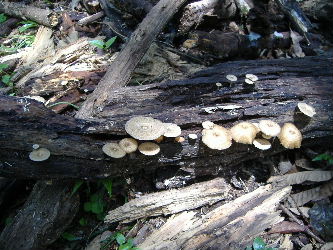f0082141_2124035.jpg