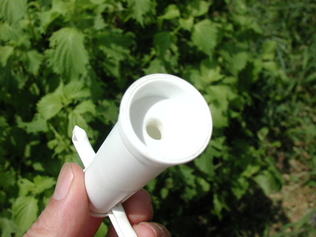 a0054043_822586.jpg