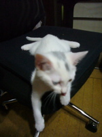e0058443_0315960.jpg