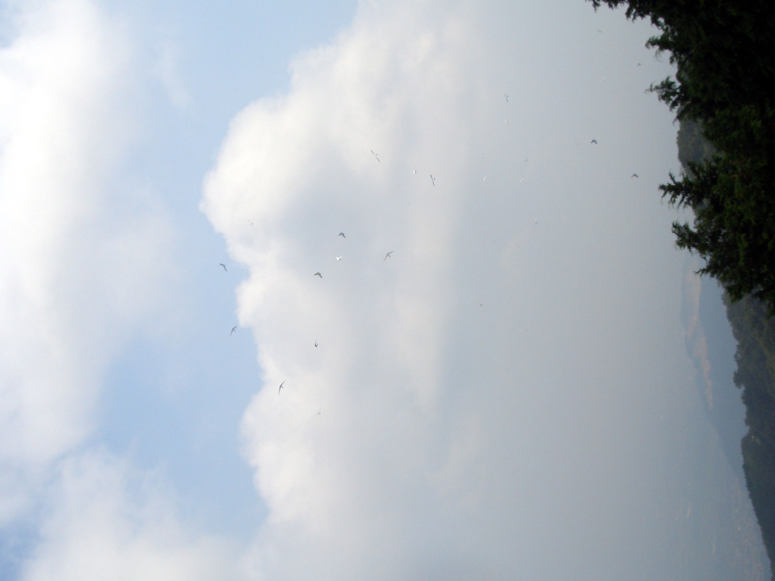 a0012449_6124866.jpg