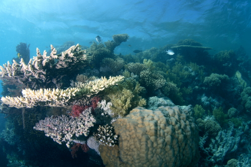d0021952_22333297.jpg