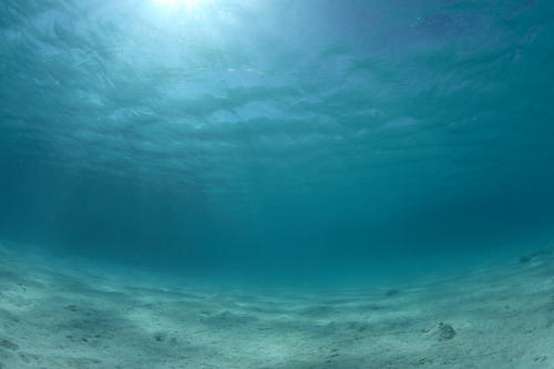 d0021952_22404156.jpg