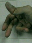e0045856_20115591.jpg