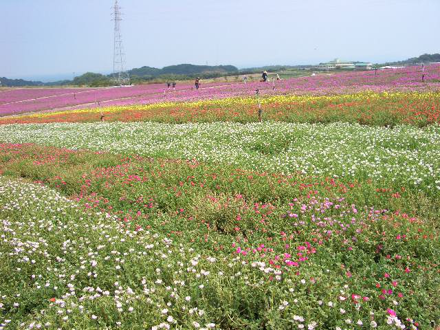 b0095760_820992.jpg