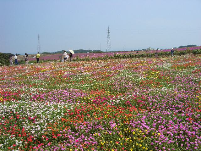 b0095760_8211963.jpg