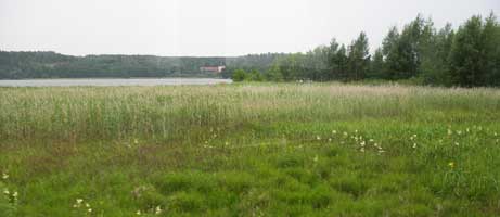 a0075661_2631100.jpg