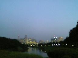 a0055362_23225570.jpg
