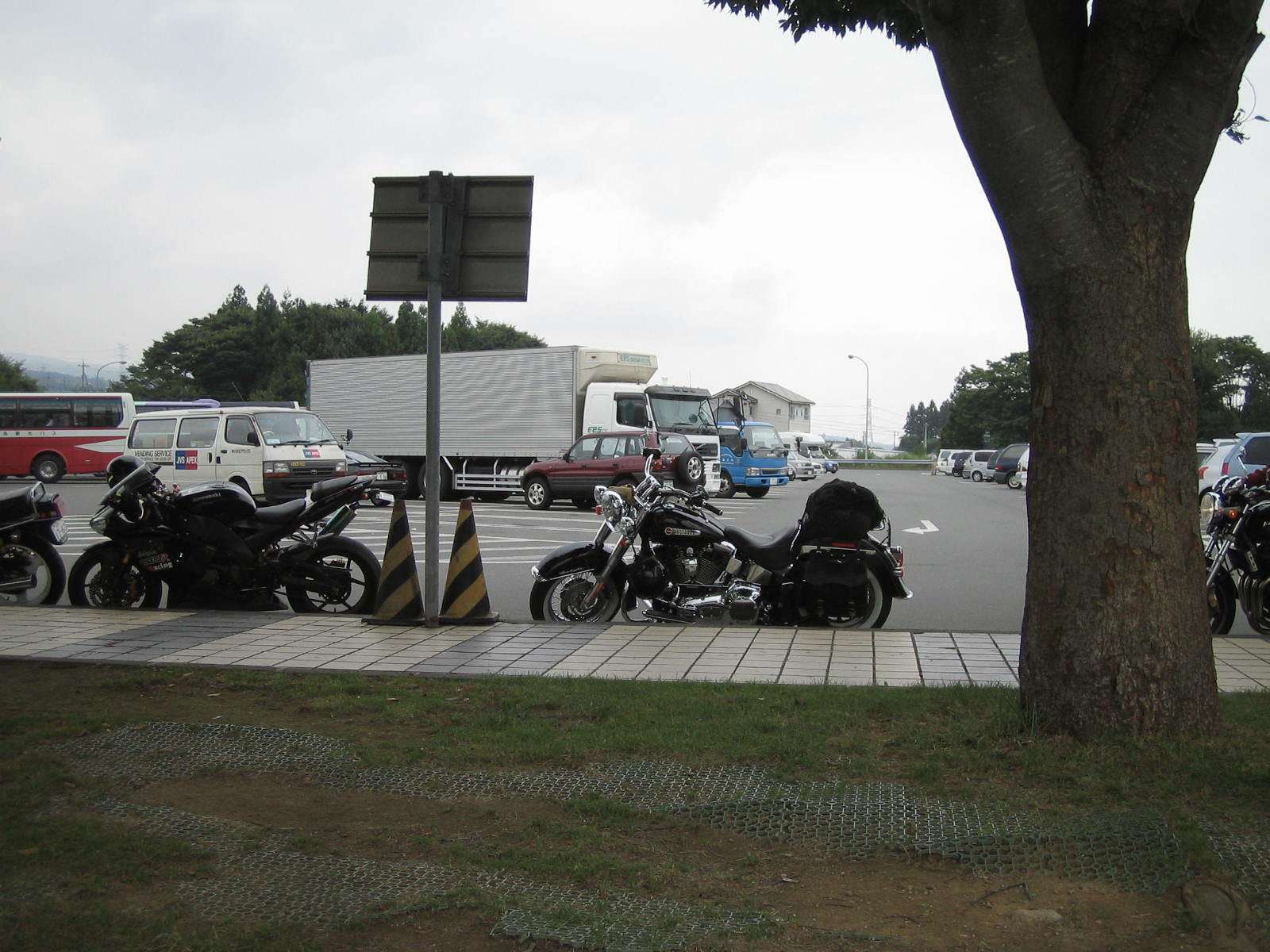 e0020074_10742100.jpg