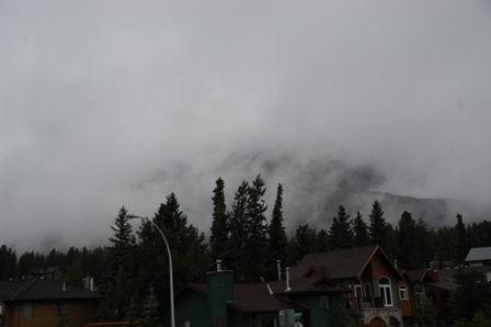 a0047577_1530215.jpg